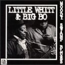 Moody Swamp Blues