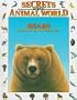 Bears: Animals That Hibernate (Secrets of the Animal World)