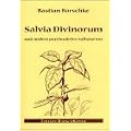 Salvia Divinorum und andere psychoaktive Salbeiarten