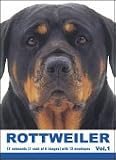 THE DOG Notecard Vol. 1 - Rottweiler
