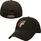 Twins '47 Phoenix Coyotes Franchise Fitted Hat Extra Large