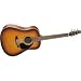 Seagull Coastline S6 GT Dreadnought Acoustic Guitar (Sunburst)