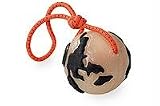 Planet Dog Orbee-Tuff Orbee with Rope Pink/Blue Medium