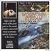 Mountain Stream