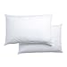Polycotton Hollowfibre Non-Allergenic Pillows, 2 Pack