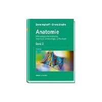 Anatomie, Makroskopische Anatomie, Embryologie