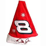 Nascar Santa Hat - Dale Earnhardt Jr #8