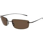 Nike Linear Square P Sunglasses 210, Glossy Espresso Titanium Frame/ Brown Polarized Lenses