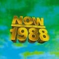 Now That's What I Call Music 1988 - 10th Anniversary