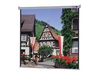 60X60 Model B Manual Screen Wall/ceiling Matte White