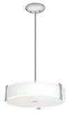 Tara Brushed Steel Semiflush or Pendant Light