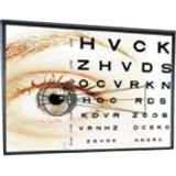 Buy 10IN Diag Clarion with veltex Fixed Tensioned Screen 4:3 M1300 