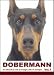 THE DOG Notecard Vol. 1 - Doberman