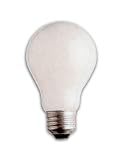 Incandescent A19, 60 Watt, Soft White