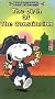 The Birth of The Constitution:This is America Charlie Brown [VHS]