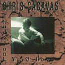 Chris Cacavas & Junk Yard Love