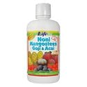 Noni Mangosteen Goji Acai Juice Blend - 32 oz - Liquid