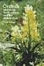 Book Orchids of Europe, North Africa and the Middle East