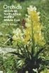 Orchids of Europe, North Africa and the Middle East
