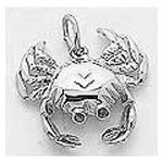 Crab Charm