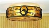 22W Horse In Horseshoe Flushmount Ceiling Fixture