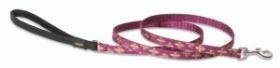 Lupine Small Dog Leash - Royal Gold 4 ft.