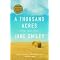 A Psychotherapist's Favorite Novels