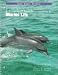Laboratory & Field Investigations in Marine Life: East Coast Version