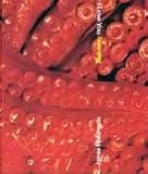 Cover for 9781903781050