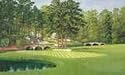 Golf Full Wall Mural