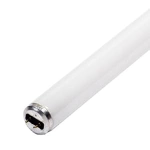 40 Watt Fluorescent Aquarium Terrarium Light Bulb 4' Length, 1.5 (T12) Diameter 5000K... by General Electric
