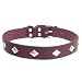 Circle T Diamond Stud Leather Collar- 1