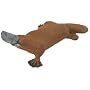 Platypus