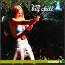 Revue Various Artists  / The Big Chill Presents: Enchanted 01