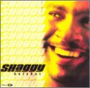 Hot Shot [Musikkassette] [US-Import] - Shaggy