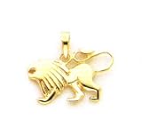 14kt gold Leo zodiak charm