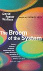The Broom of the System