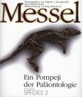 cover of Messel, Ein Pompeji der Paläontologie