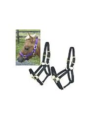 Intrepid Miniature Horse Nylon Halter - Size:Large Color:Lt Blue