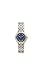 Womens Timex T23731
