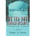 The Sea Dogs Rebuild Atlantis: Finding Lost Treasure