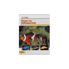 Ihr Hobby, Fische im Riffaquarium