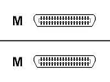 6ft Straight Thru Cent36m/cent36m 25 Conductor