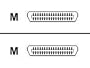 10ft Straight Thru Cent36m/cent36m 25 Conductor