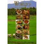 The World's Healthiest Food