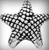 Authentic Biagi Large Starfish Bead - Fully Compatible with Pandora, Chamilia, Troll