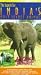 World s Most Secret Animal:India