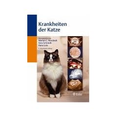 Krankheiten der Katze