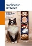 Krankheiten der Katze