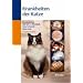 Krankheiten der Katze